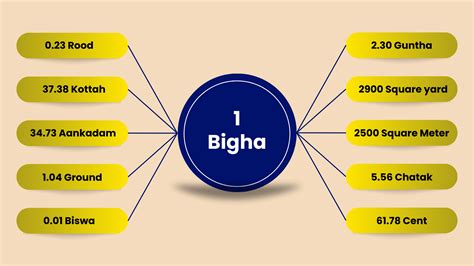 ek bigha means|1 bigha in bangladesh.